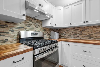 5 Burner SS Gas range