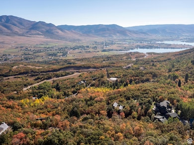 View of mountain background with a nearby body of water and a forest