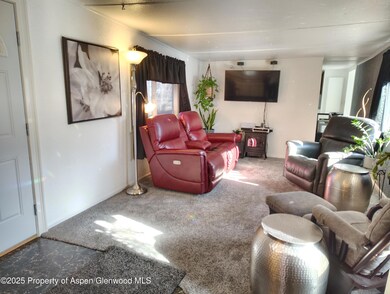 8 Navajo St, New Castle, CO 81647 - photo 7