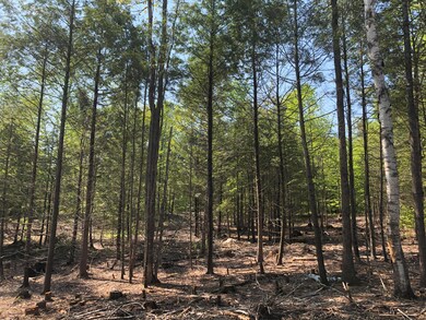 Map12/L19 Augusta Rd, Bowdoin, ME 04287 - photo 6