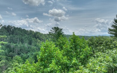 Additional View