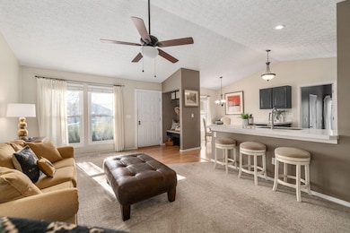 8-web-or-mls-DSC03264