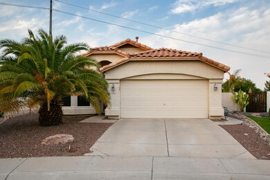Yucca Pl-4