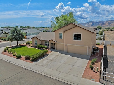 908 Kaley St, Fruita, CO 81521 - photo 4