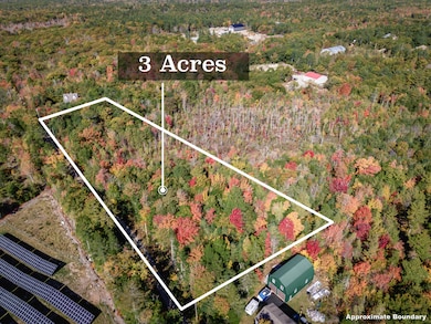 DJI_20241011113137_0574_D-Enhanced-NR