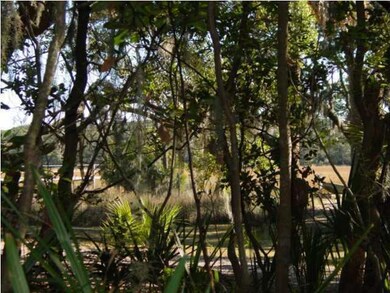 3310 Seabrook Island Rd, Johns Island, SC 29455 - photo 2