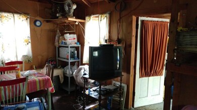 9156 S Taylor, Baldwin, MI 49304 - photo 3
