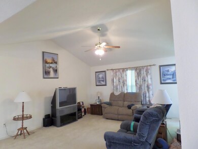 125 Brandy Ln, Kimberling City, MO 65686 - photo 5