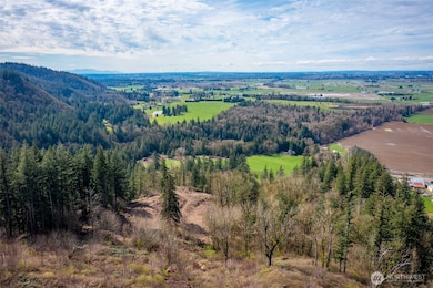 48 XX Reese Hill Rd, Sumas, WA 98295 - photo 4