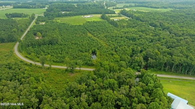 0 Great Swamp Loop unit 100523091, Black Creek, NC 27851 - photo 5