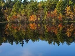 Lot 288 King Hill Rd, Lake Arrowhead, ME 04048 - photo 2