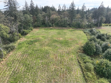 0 NW 389th St unit 24366944, Woodland, WA 98674 - photo 6