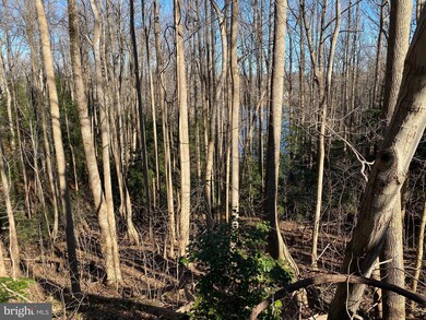 0 Lot 68 & 67 S Independence unit VAWE118306, Montross, VA 22520 - photo 7