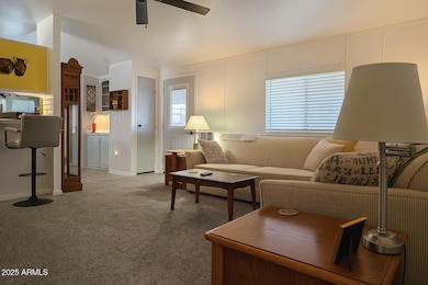 9302 E Broadway Rd unit 184, Mesa, AZ 85208 - photo 4