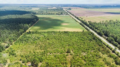 7-web-or-mls-DJI_0022
