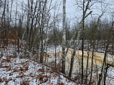 14928 S Fire Lane Ln, Danbury, WI 54830 - photo 4