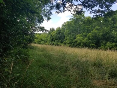 10 Baxter Ridge Rd, Lawrenceburg, KY 40342 - photo 3