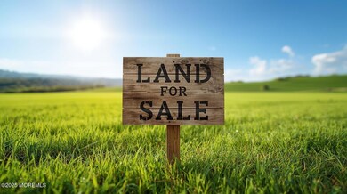 238 Vine Ave, Lakewood Township, NJ 08701 - photo 4