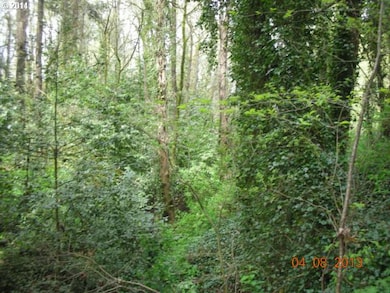 710 Oak St, Lake Oswego, OR 97034 - photo 5