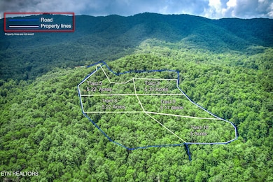 1-web-or-mls-All Tracts
