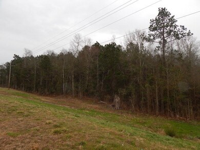 0 Buddy Price Rd unit 129426, Prentiss, MS 39474 - photo 4