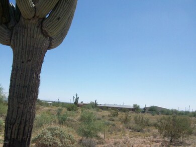 Canyon Street - 3