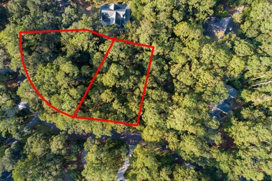 3205&3215 Pine Needle Ln, Seabrook Island, SC 29455 - photo 4