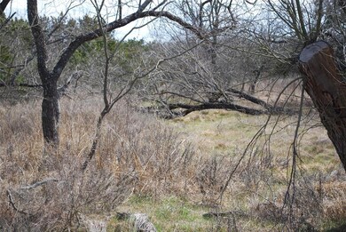 44073 Thistle Dr, Whitney, TX 76692 - photo 3