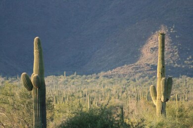 Gold Canyon Images