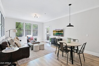 20-web-or-mls-P1210894