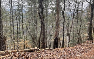 Additional View