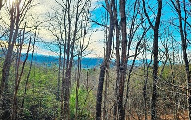 Additional View