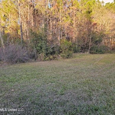 6010 Crescent Shore Dr, Biloxi, MS 39532 - photo 3