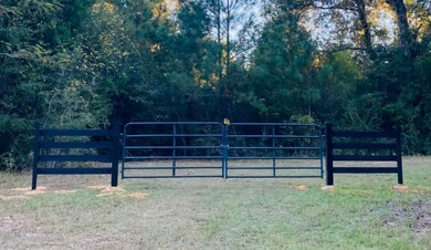 County Road 2- Covington County unit AL, Wing, AL 36483 - photo 6