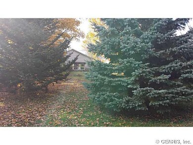 Backyard Gorgeous Acreage