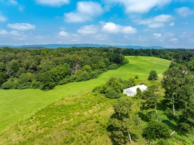 434 Farm Rd, Trion, GA 30753 - photo 3