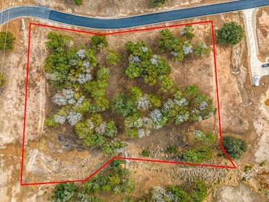 000 Spring Lakes Pkwy W unit 89, Ingram, TX 78025 - photo 7