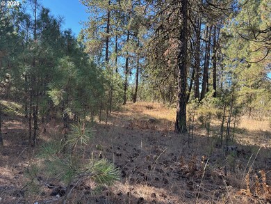 1 Garrison Rd, Goldendale, WA 98620 - photo 3