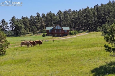 17245 Elbert Rd, Peyton, CO 80831 - photo 6