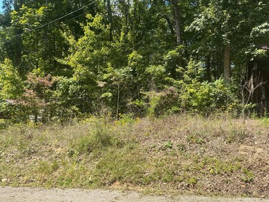 0 Fawn Cir unit 1520949, Dunlap, TN 37327 - photo 5