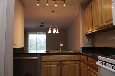 Kitchen looking towards dining area and family room