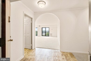 Lakeside Plaza Condominium unit 1112, Baileys Crossroads, VA 22041 - photo 7