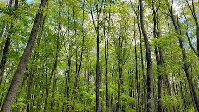 7 Acre nicely wooded property