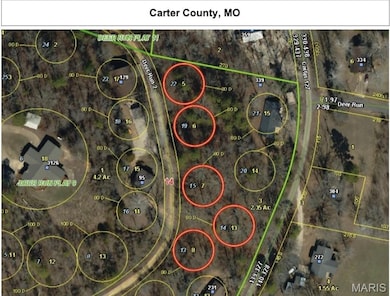 Plat 9 Lots 13 and 14 Deer Run, van Buren, MO 63965 - photo 2