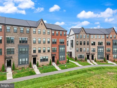 22506 Wilson View Terrace, Ashburn, VA 20148 - photo 3