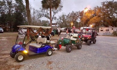 Lot 2 Old Bay City Rd, Wewahitchka, FL 32465 - photo 7