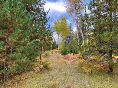 Nhn Klister Ln, Trout Creek, MT 59874 - photo 5