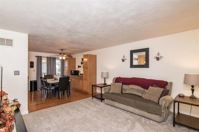 New Carpet in Living Room