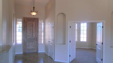 ENTRY & KNOTTY ALDER DOOR