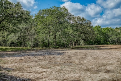 Tract 4 Sun Oil Rd, Brenham, TX 77833 - photo 5